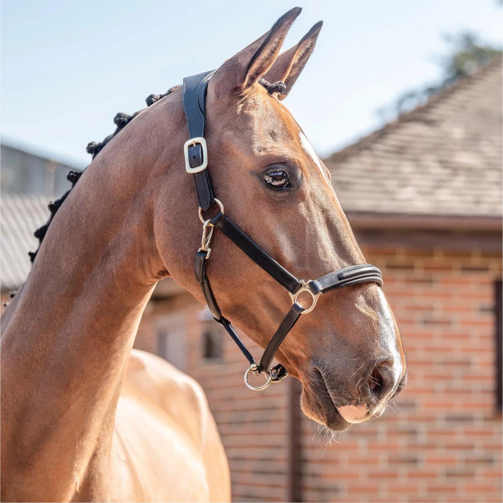 Henry James Comfort 3D Air Headcollar HC-1HJ - BLACK